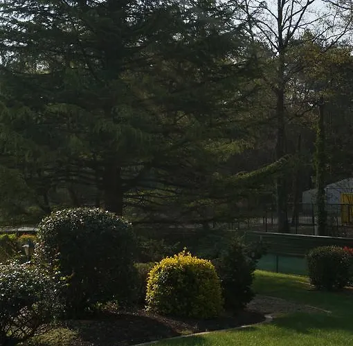 Le Petit Chaton Bed & Breakfast Parigné-lʼÉvêque