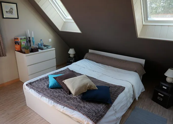 Le Petit Chaton Bed & Breakfast